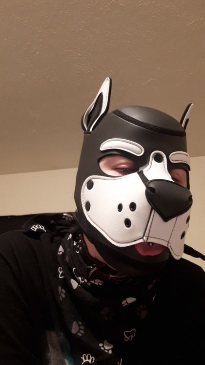mothpuppy OnlyFans picture