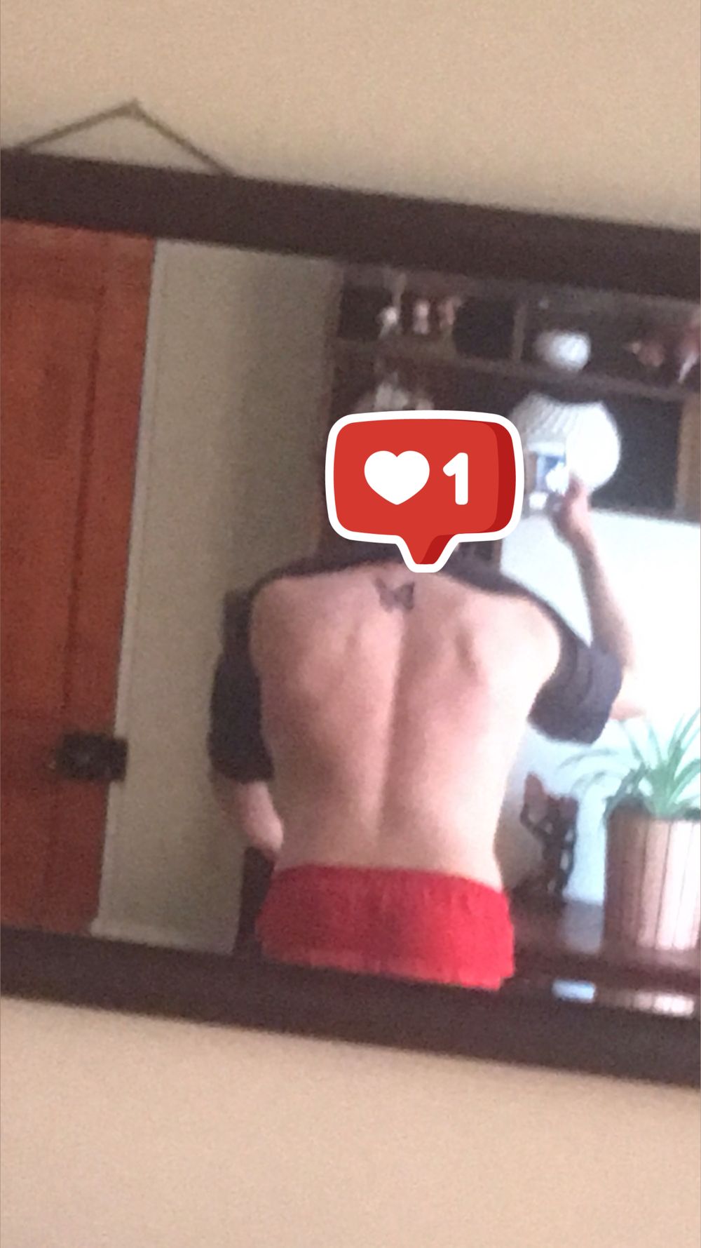veganboy12 OnlyFans profile picture