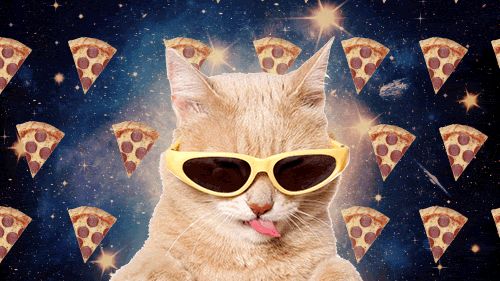 nonilove OnlyFans profile picture
