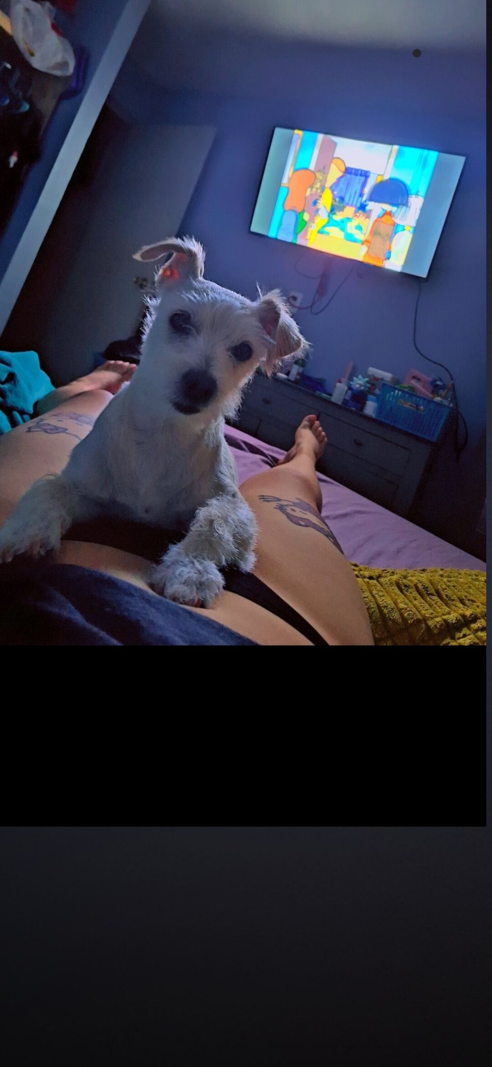 hello_nelly22 OnlyFans profile picture