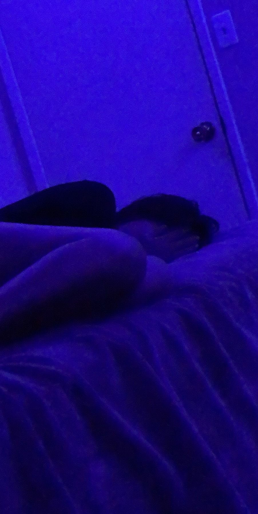gavnnnn OnlyFans profile picture