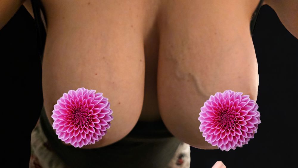 bigtittycannons OnlyFans profile picture