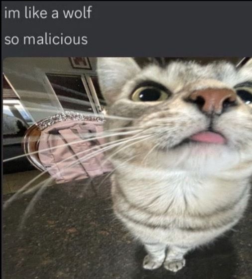 furrydayz OnlyFans profile picture