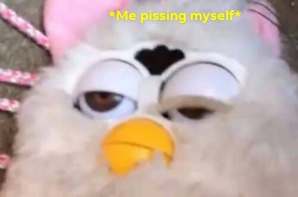 b00pd OnlyFans profile picture