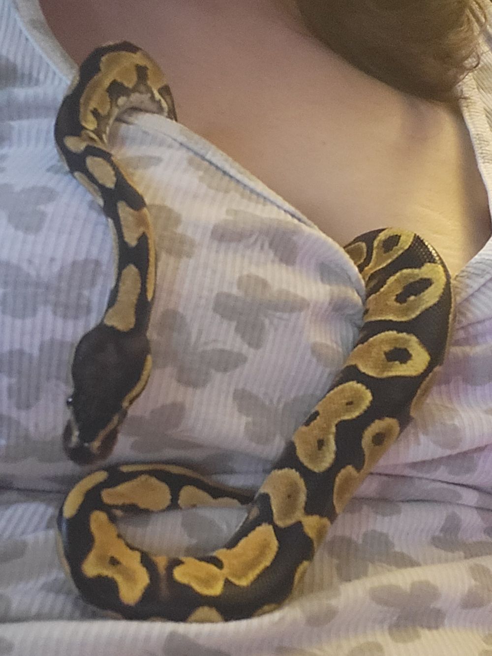 jewlmama OnlyFans profile picture