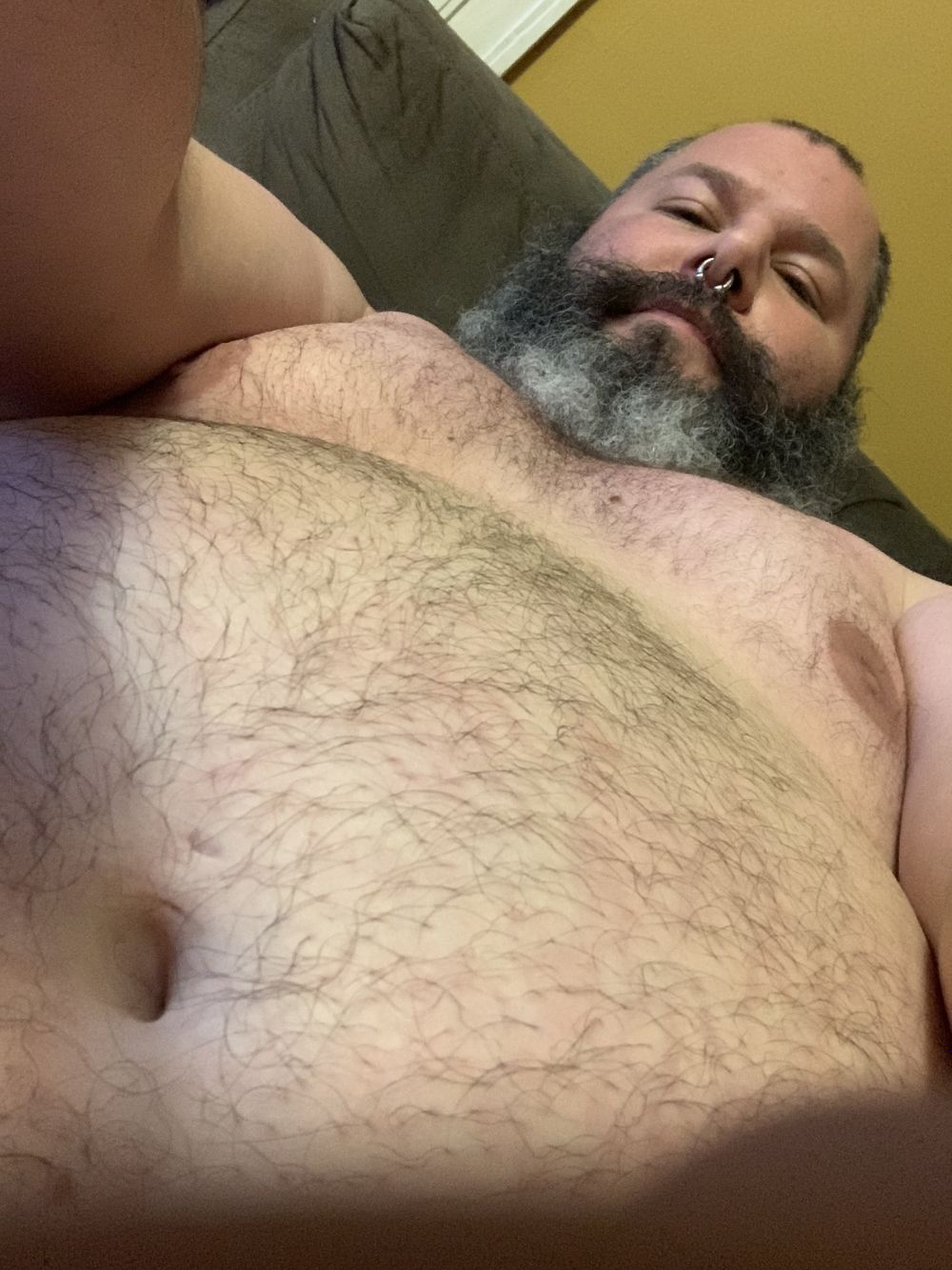 onehornybear69 OnlyFans profile picture
