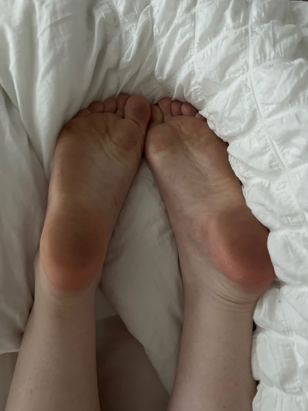 rosiesfeet1 OnlyFans profile picture