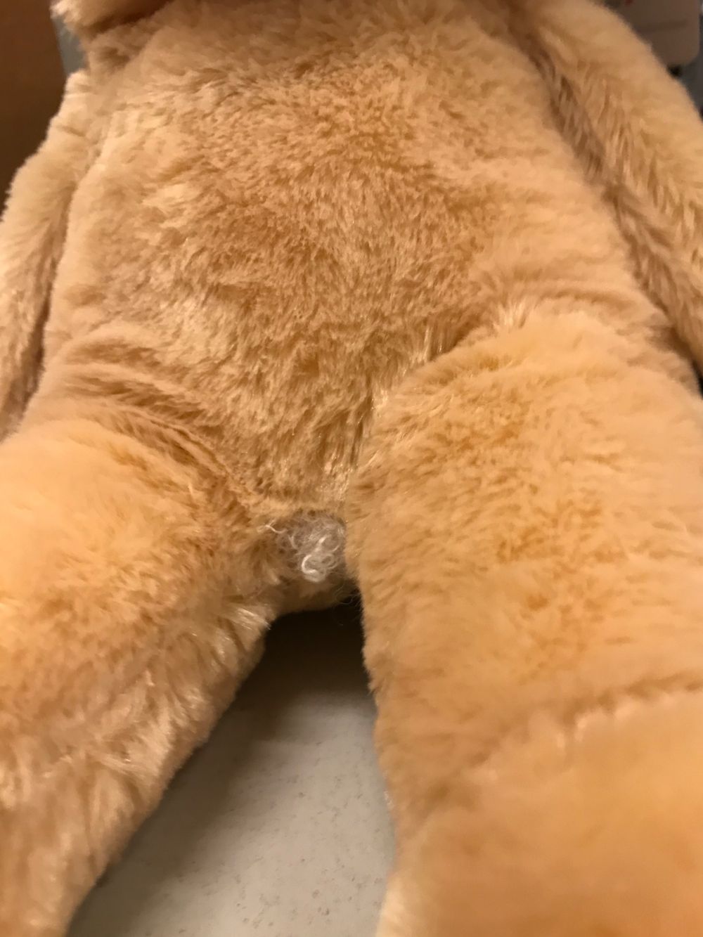 dogbwain OnlyFans profile picture