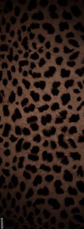 dani_lusts OnlyFans profile picture