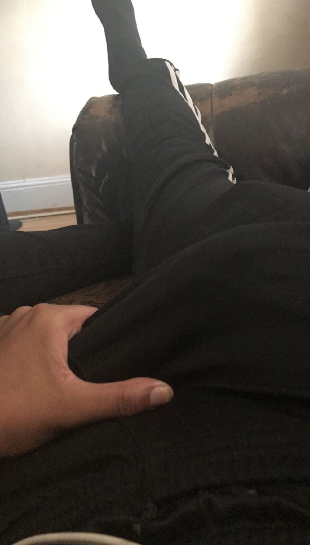franked OnlyFans profile picture