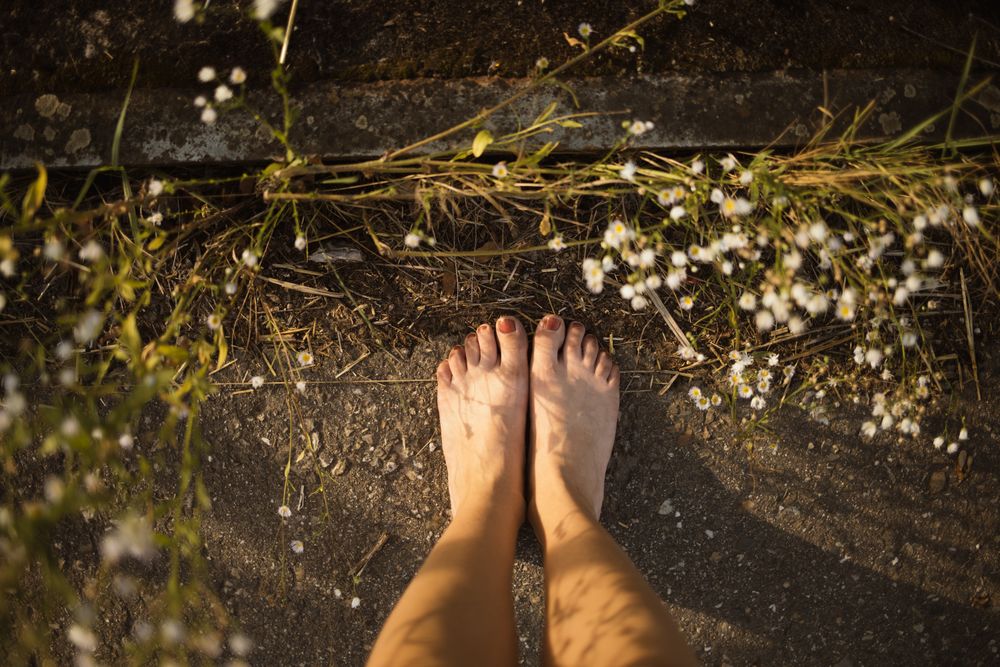 lilous_feet OnlyFans profile picture