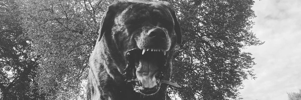 satans_sub420 OnlyFans profile picture