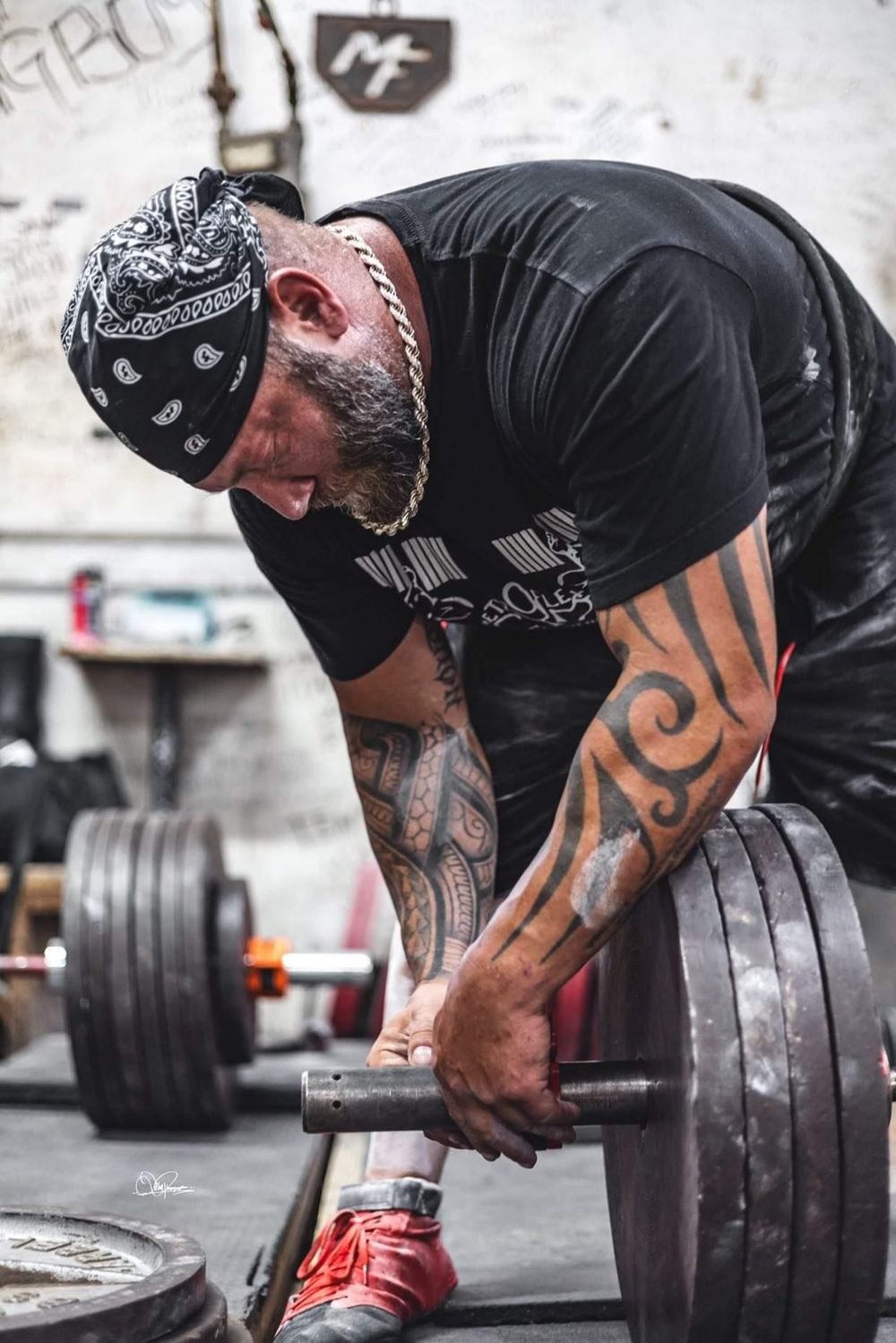 misterbull2 OnlyFans profile picture