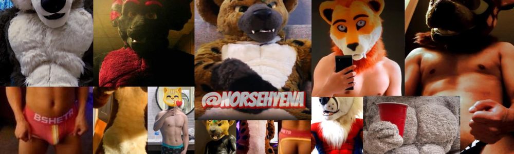 norsehyena OnlyFans profile picture