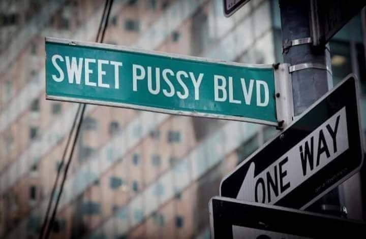 msnewpussy69 OnlyFans profile picture