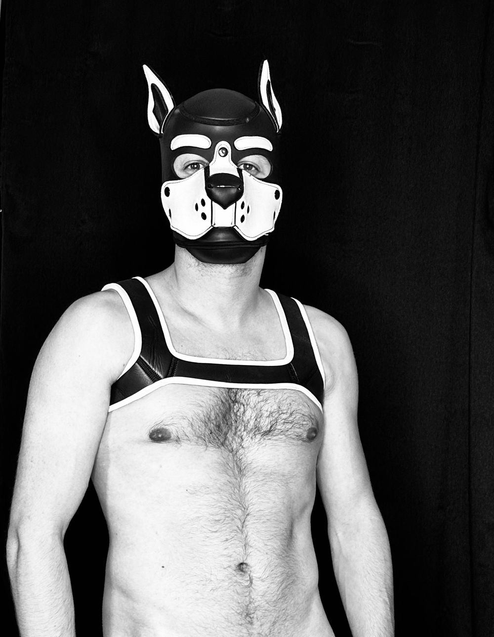 maru_pup OnlyFans profile picture