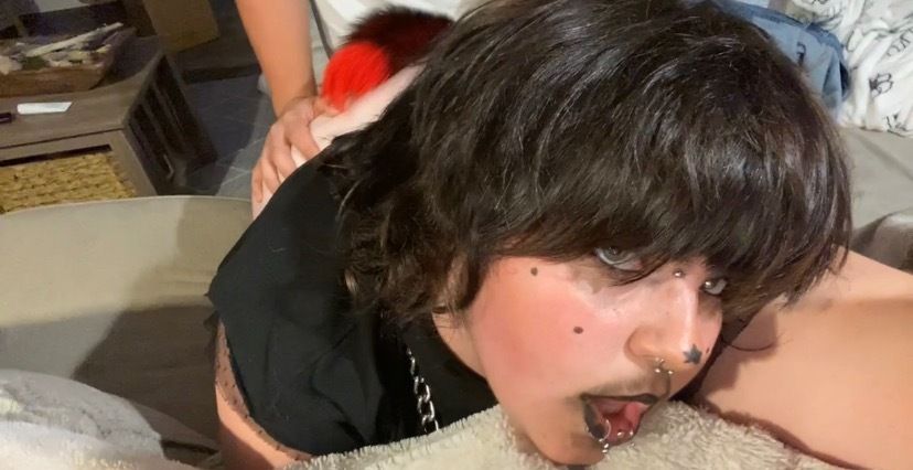 dragboydogboy OnlyFans profile picture