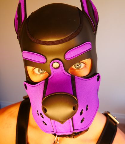 purplepuploki OnlyFans picture
