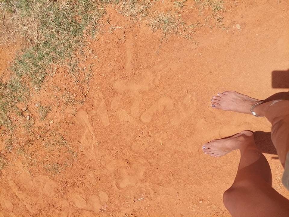 feetishlurve OnlyFans profile picture