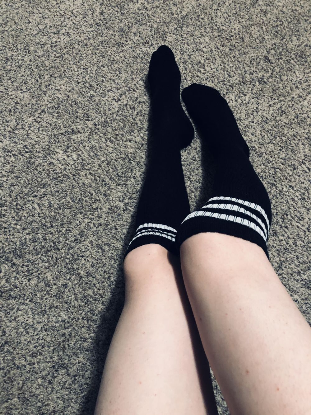 bunny_egg OnlyFans profile picture
