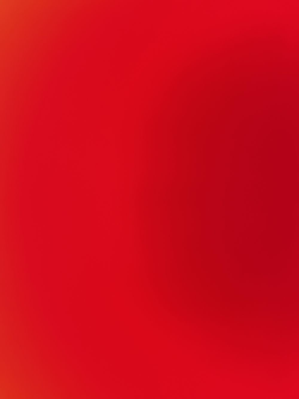 floridatola OnlyFans profile picture