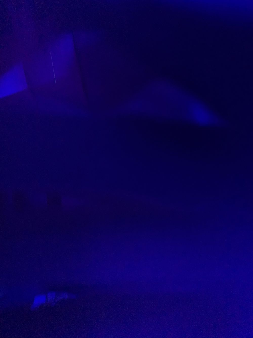 scubadivert OnlyFans profile picture