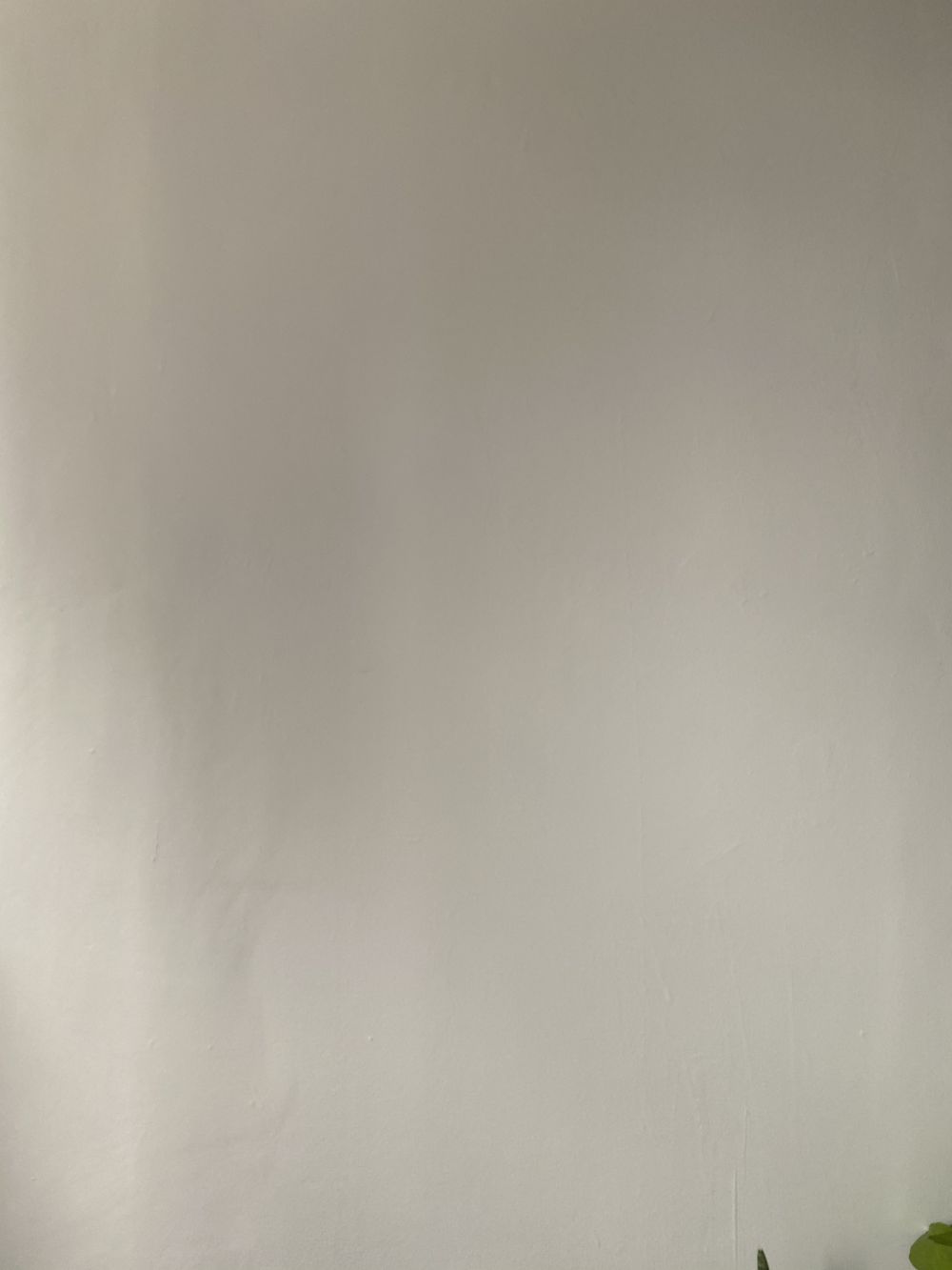 cowboyfromtexas OnlyFans profile picture