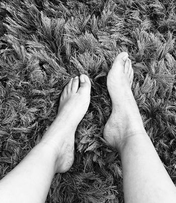 FEET NIFE LINDOS