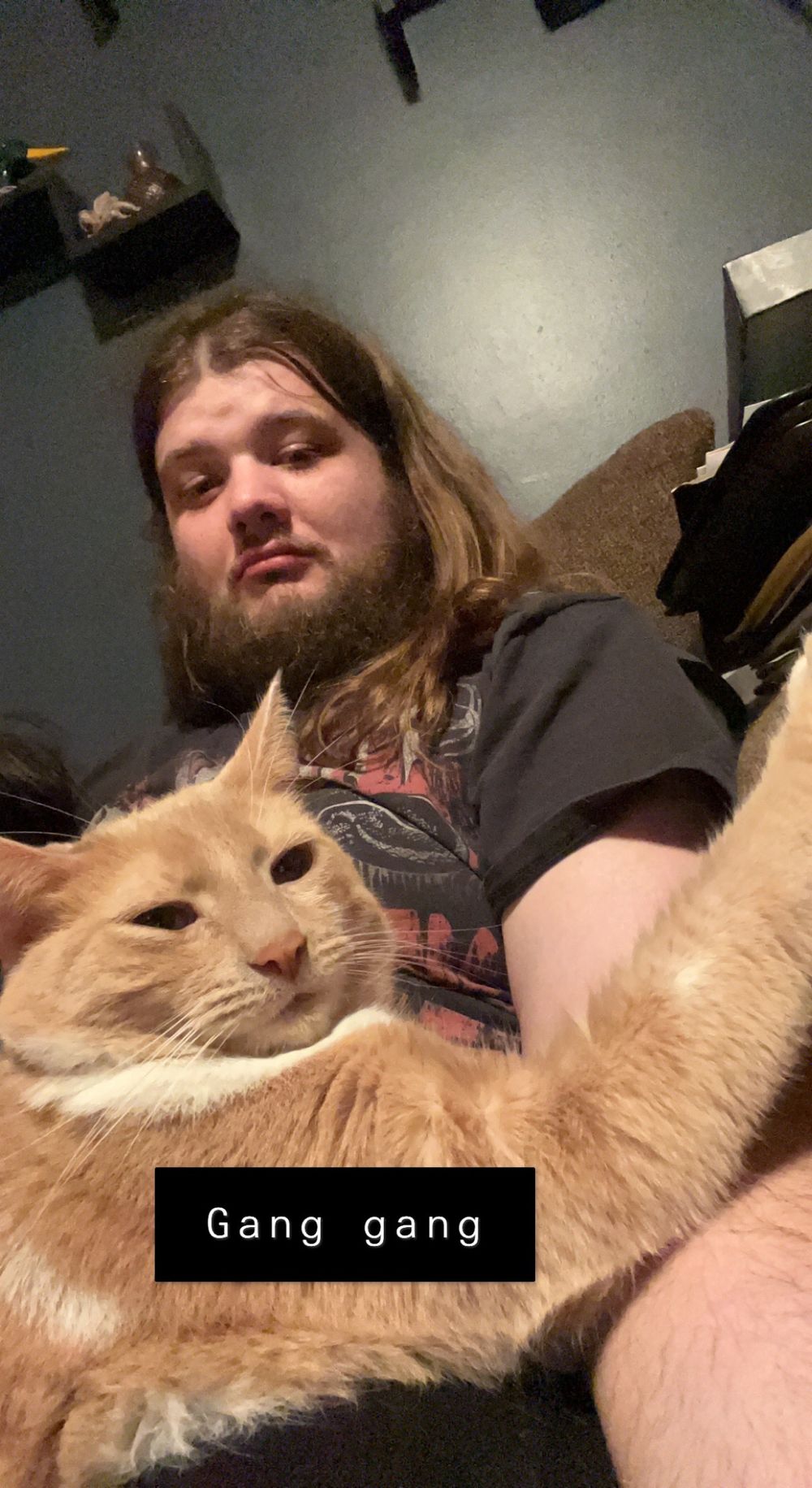 softdom3112 OnlyFans profile picture