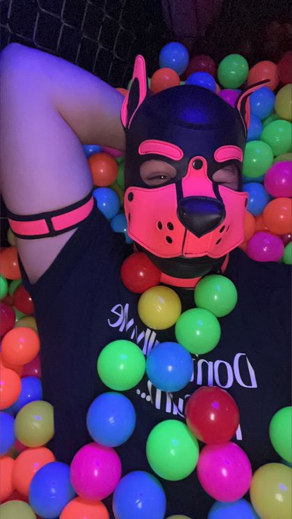 pupupdog OnlyFans picture