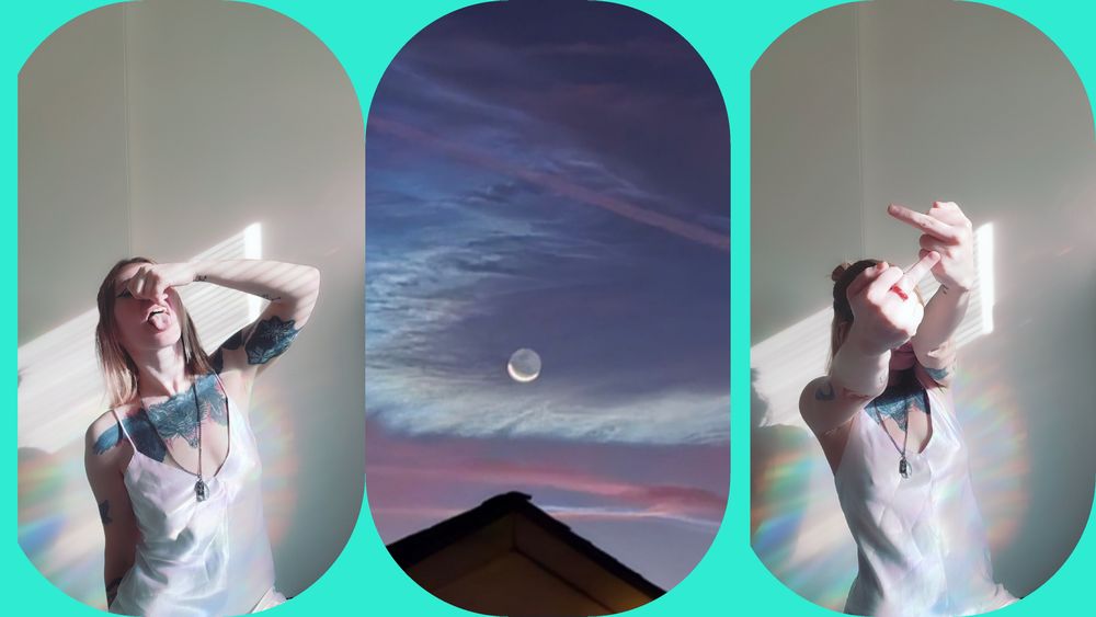 senthecat OnlyFans profile picture