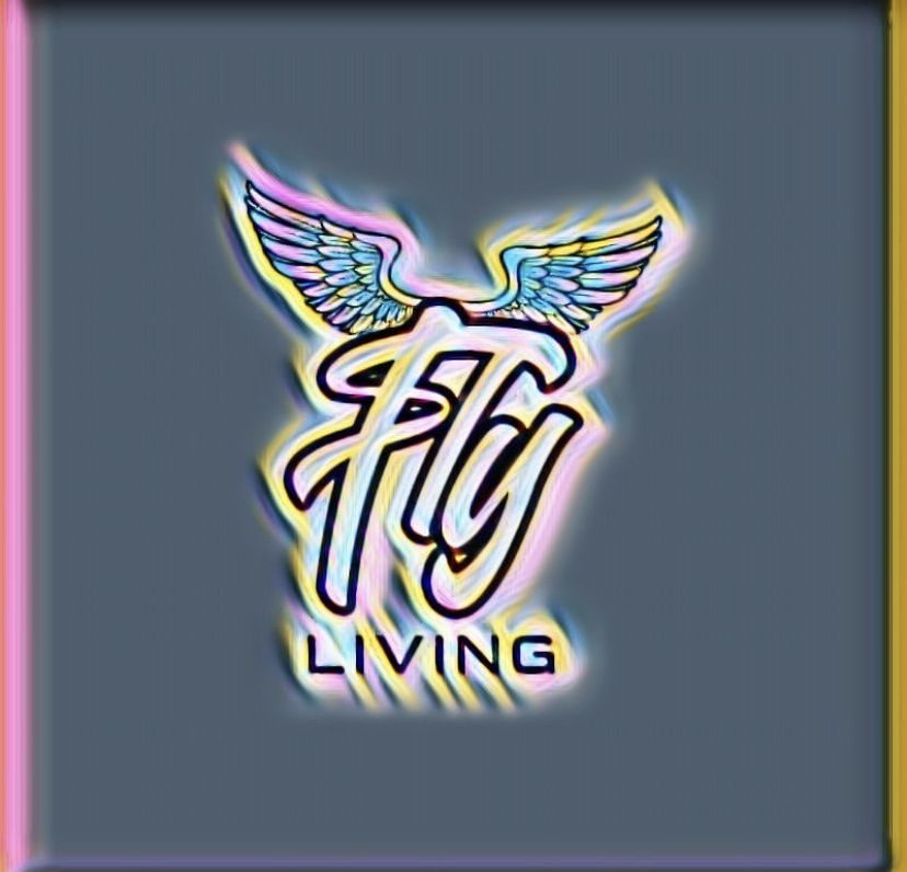 flylivinryry OnlyFans profile picture