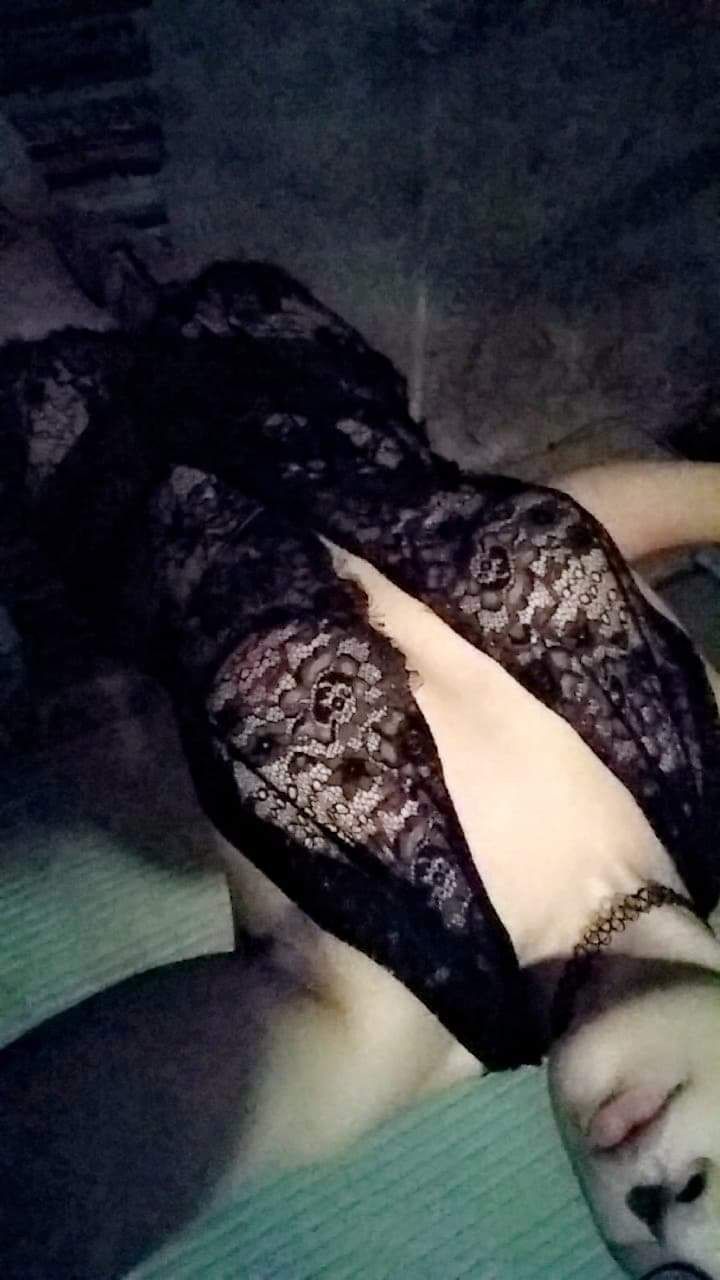 lani773 OnlyFans profile picture