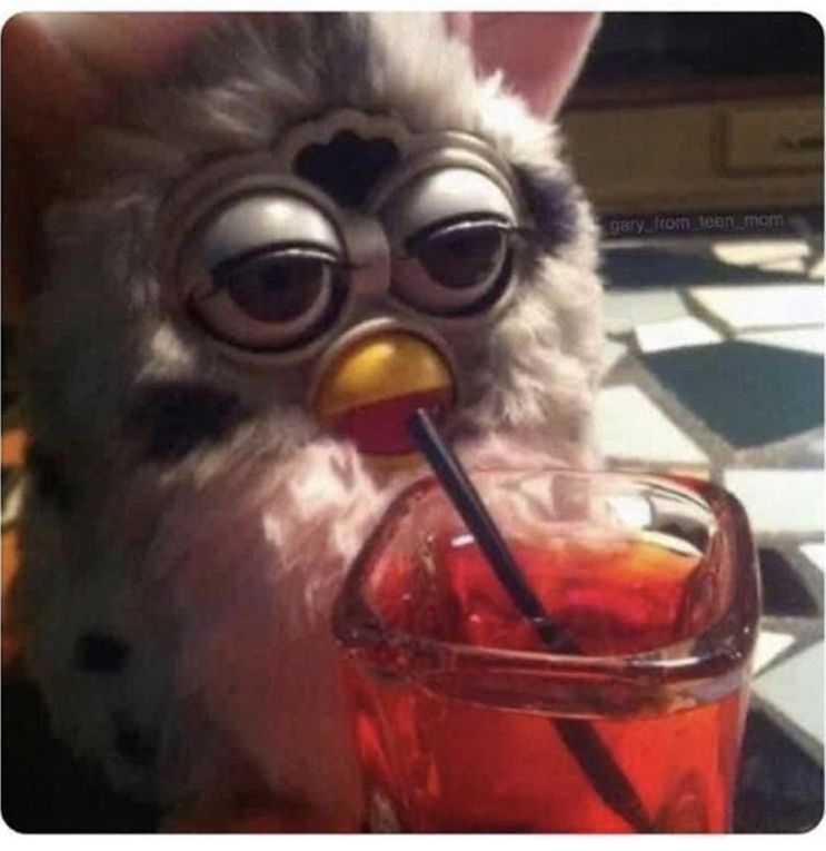 zacharybinks OnlyFans profile picture
