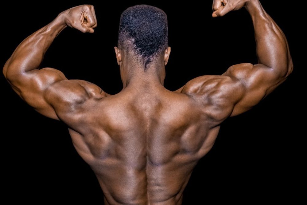 jgogo OnlyFans profile picture