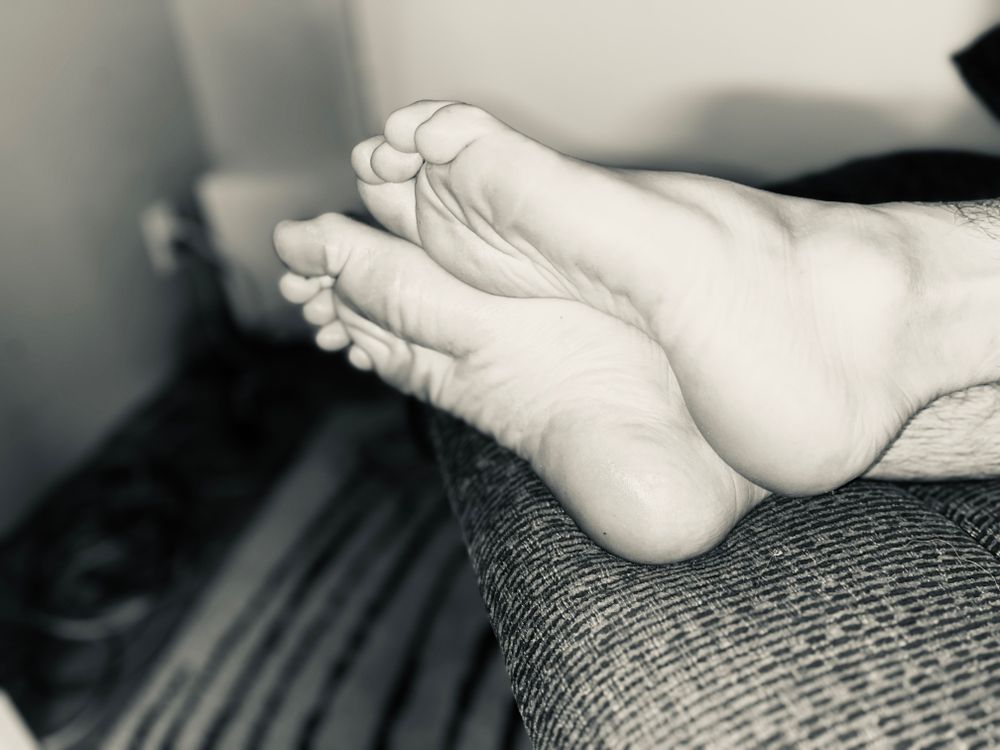 toetails12 OnlyFans profile picture