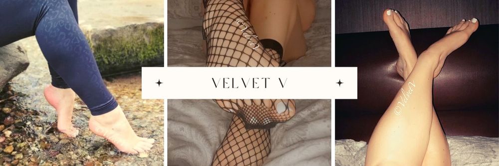 velvetv1 OnlyFans profile picture