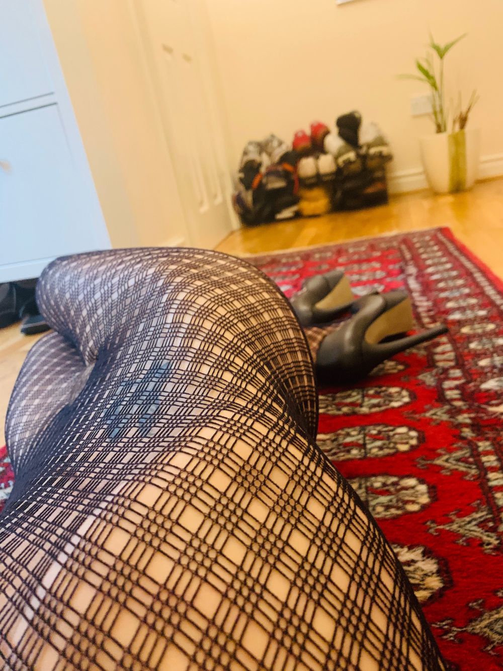 shannonghso OnlyFans profile picture