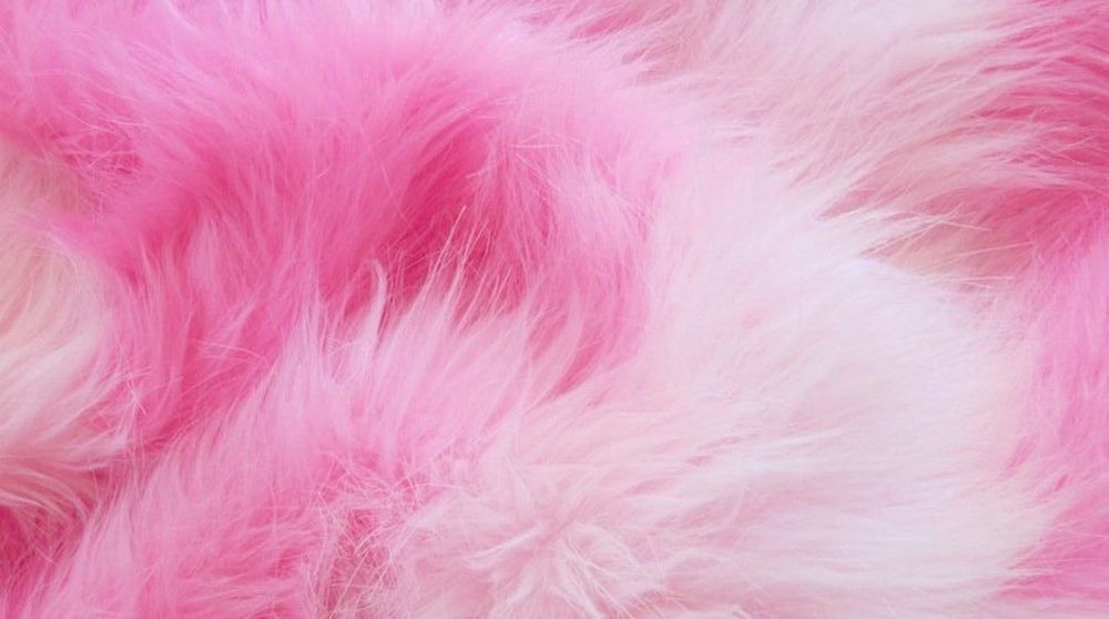 serenavaltierra OnlyFans profile picture