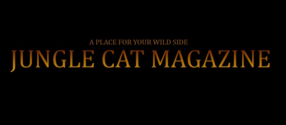 junglecatmagazine OnlyFans profile picture