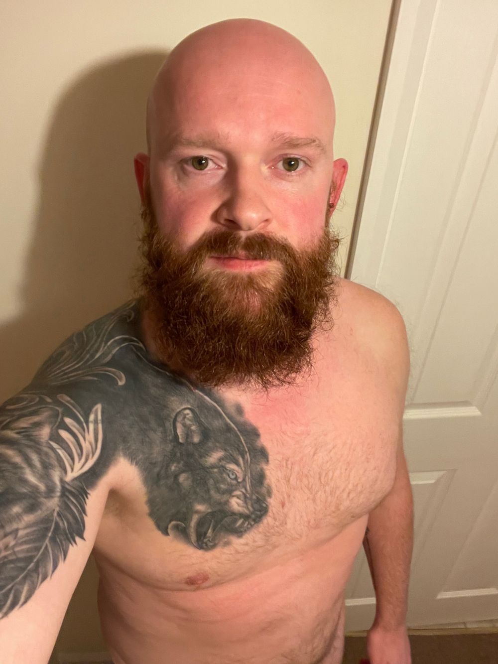 beardedgamer91 OnlyFans profile picture