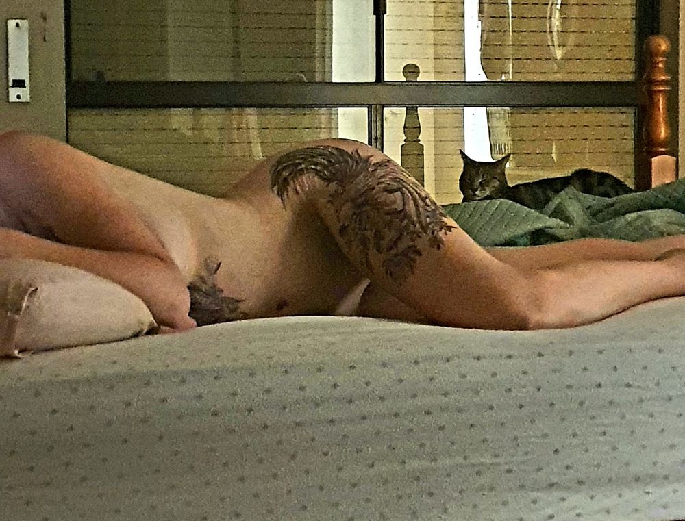 daddyslittlebrat23 OnlyFans profile picture