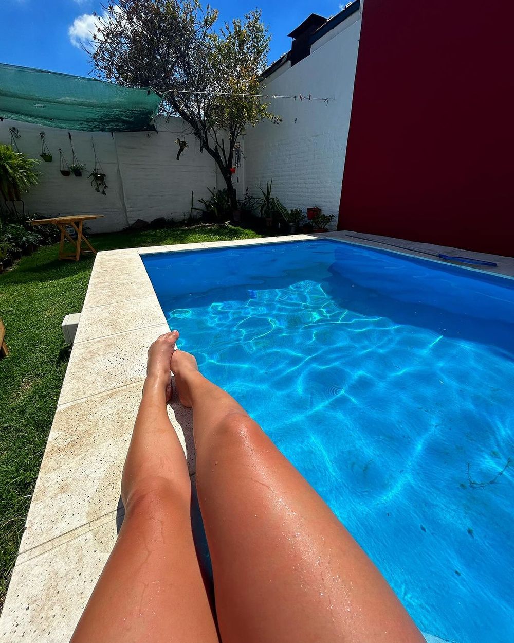 sashaxfree OnlyFans profile picture