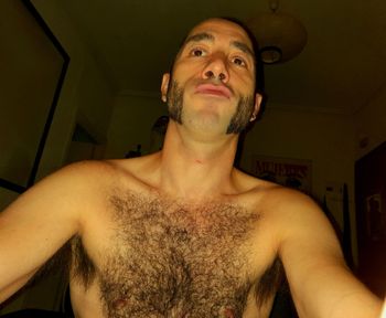 Spanish bull