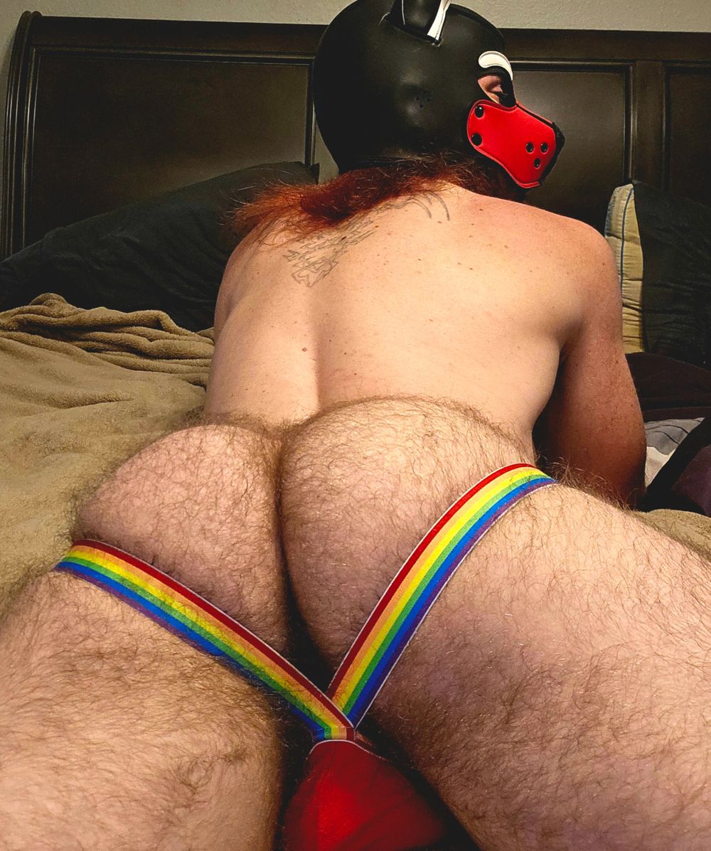 pupknot OnlyFans profile picture