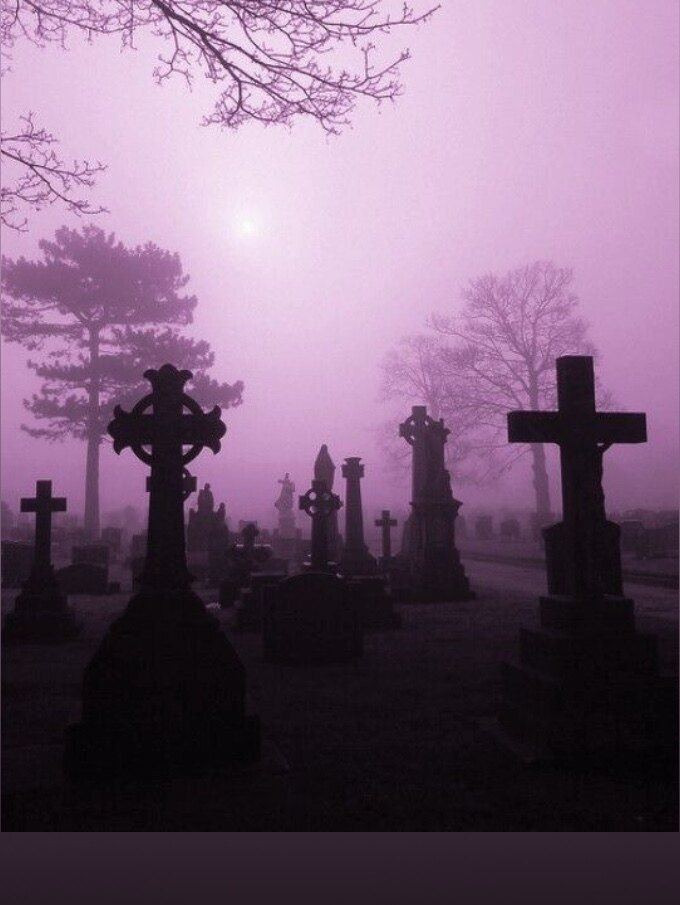 graveslvt OnlyFans profile picture