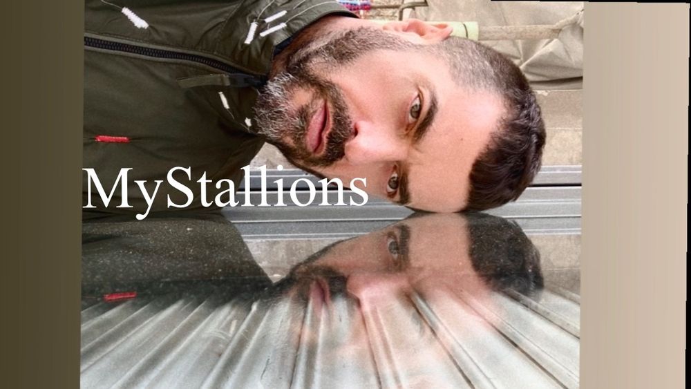 mystallions OnlyFans profile picture