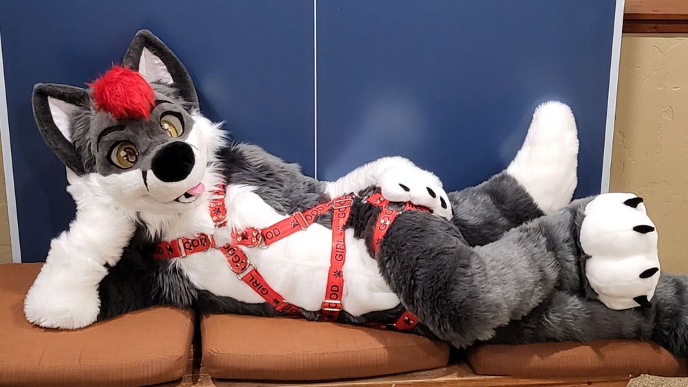 dalitefur OnlyFans profile picture