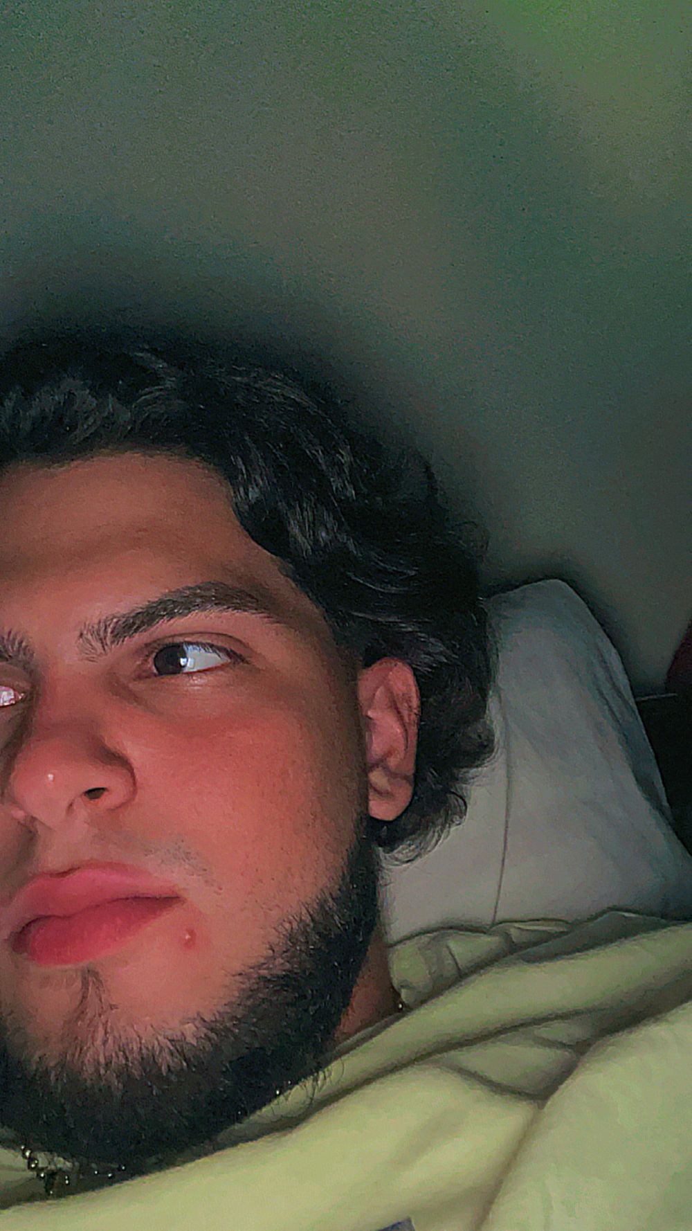 bicandotti OnlyFans profile picture