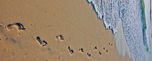 nakedtoesinthesand OnlyFans profile picture